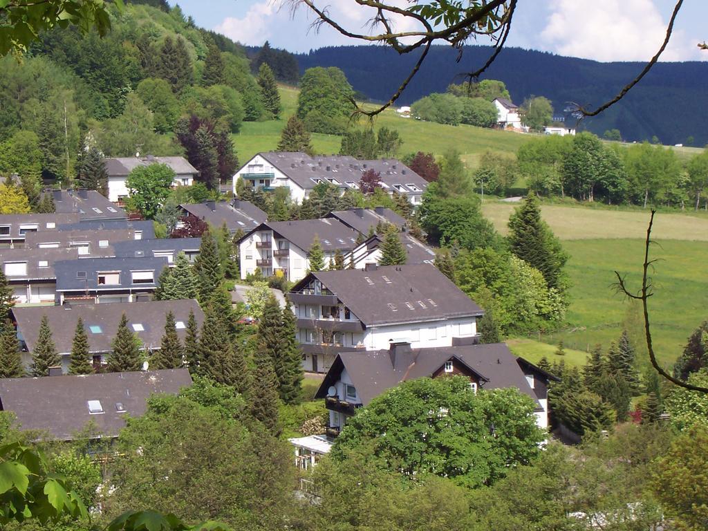 Wietheger'S Ferienwohnungen Gaestehaus Strycktal II Willingen  Exterior photo